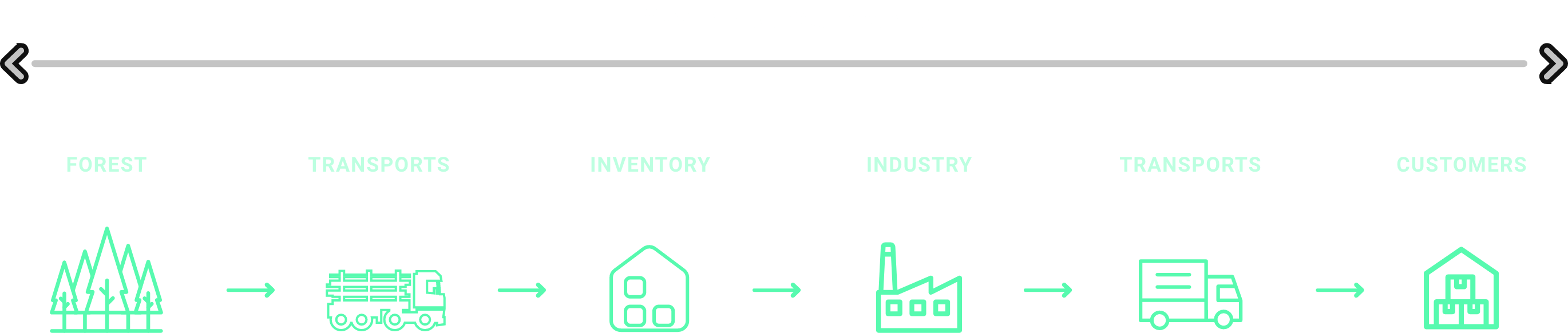 woodflow infographic 1